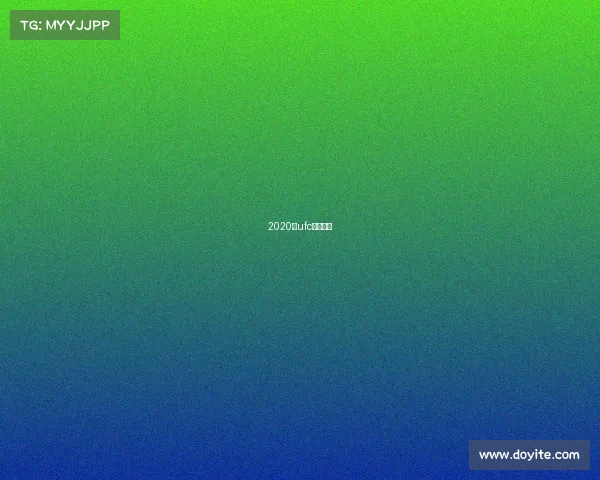 2020年ufc比赛视频