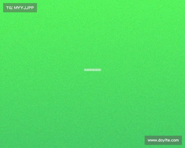 国外搏击赛事组织叫什么